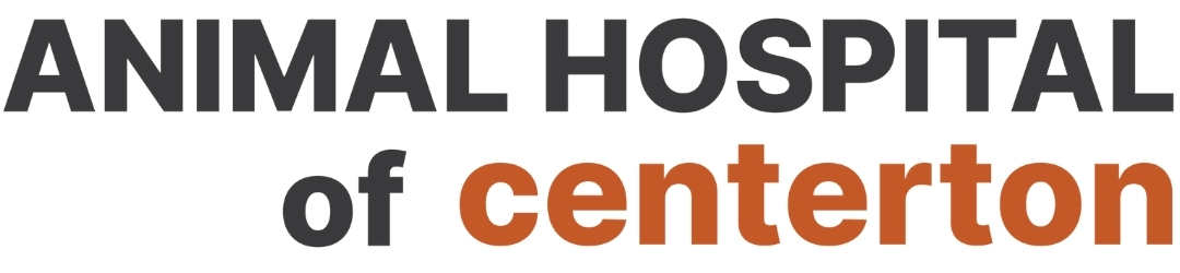 AHOC Logo
